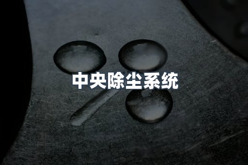 中央除尘系统
