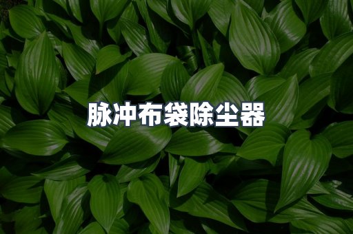 脉冲布袋除尘器